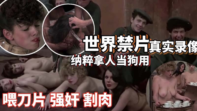 真实录像,世界禁片,纯粹拿人当狗用
