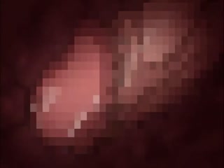 我的大奶淫姐們