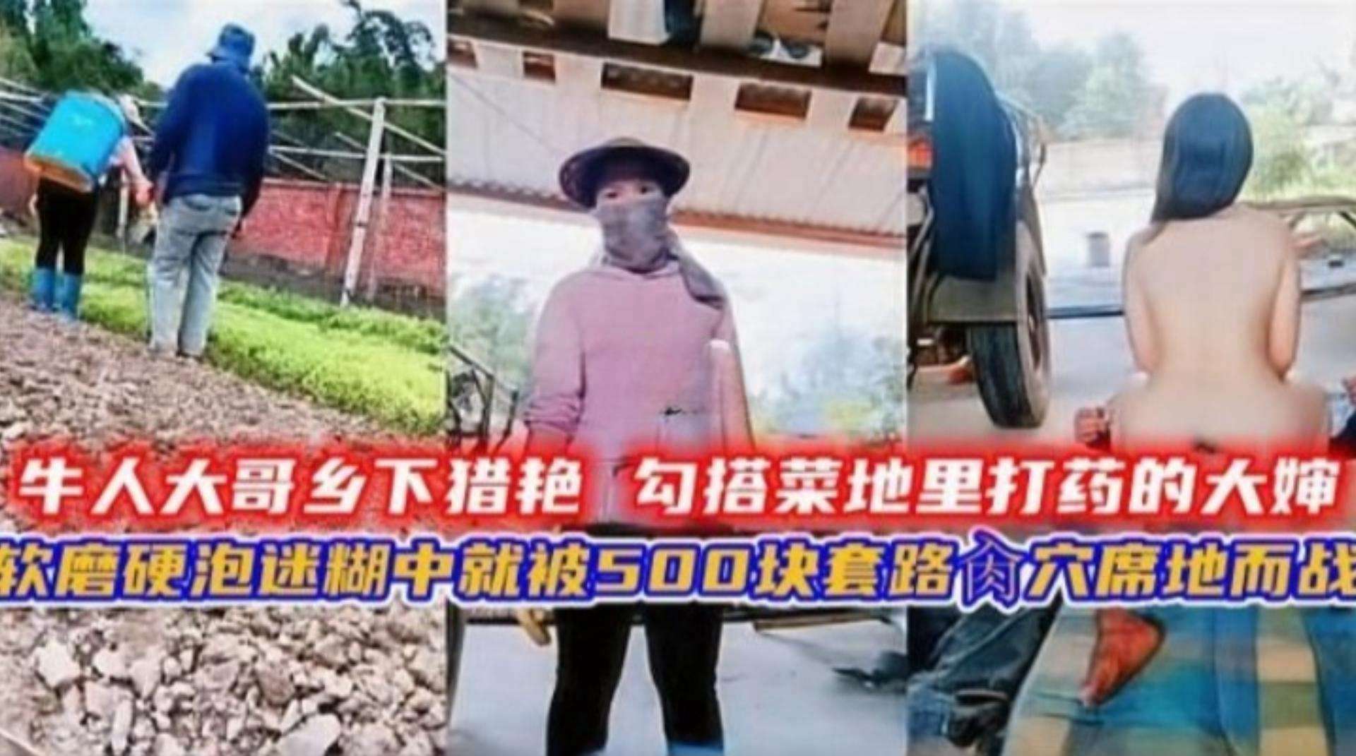 【真实猎艳】大哥乡下勾引菜地里的大婶，软磨硬泡500块拿下野战操逼内射