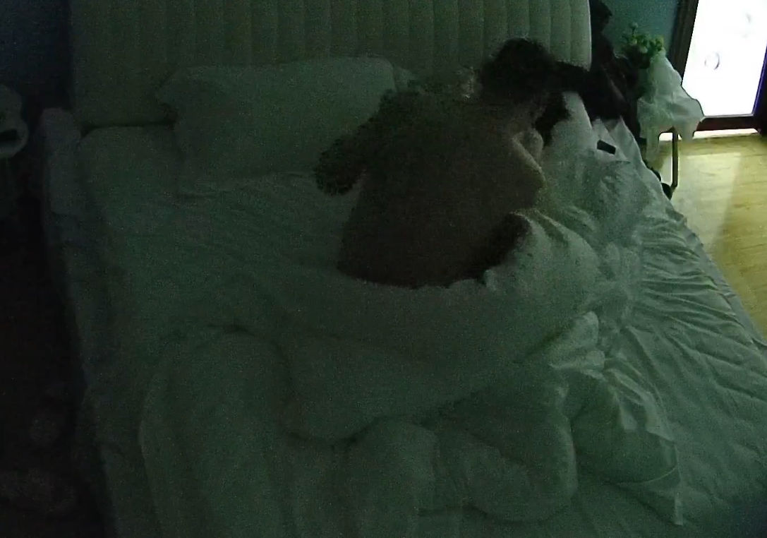 主题酒店 11-7 人菜瘾大 男人第一炮火速投降 冲个澡回来又让女的口硬了再来 还是战五渣