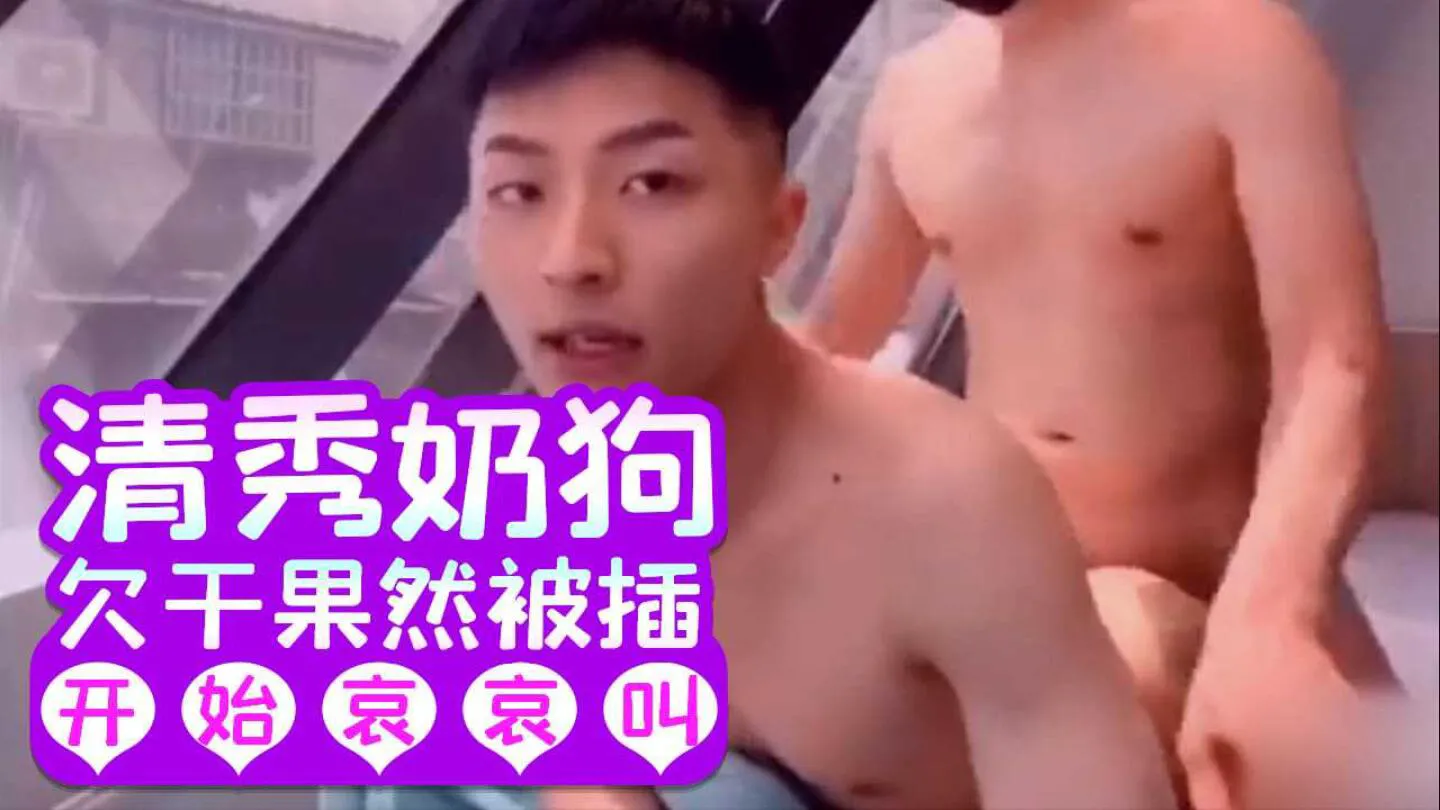 推荐A-[男同]清秀小奶狗一脸欠干,果然被插的哀哀叫