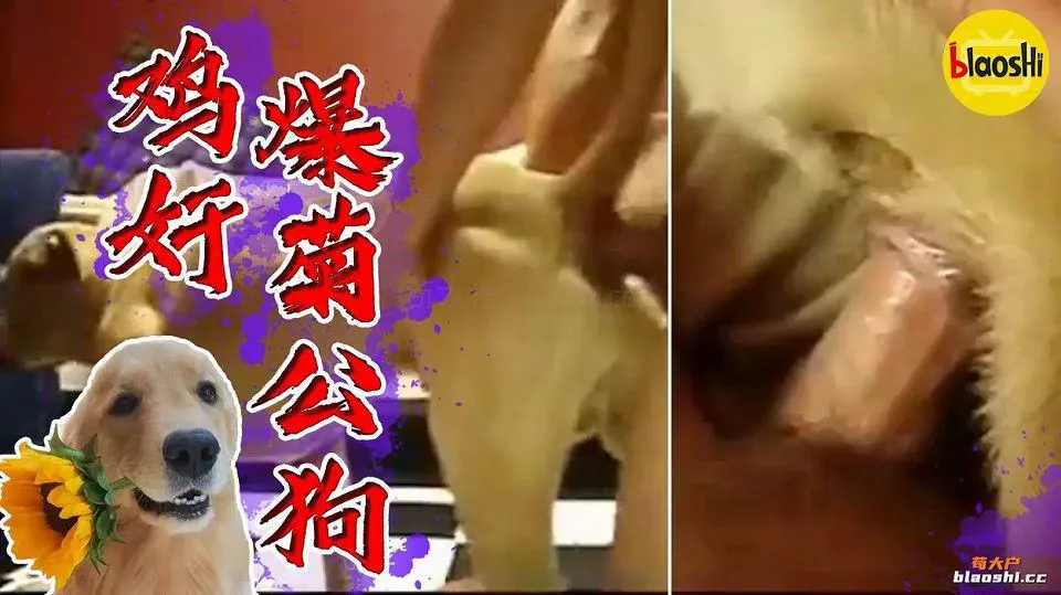 人兽杂交-阳痿男爆菊公狗屁眼子！