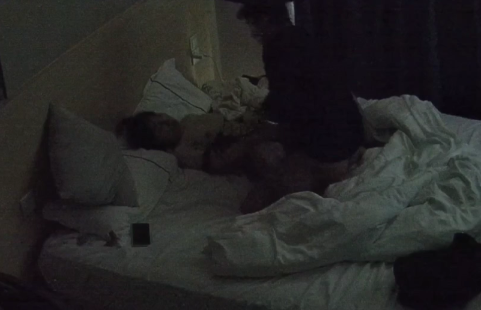 主题酒店 12-12 清纯眼镜小妹睡醒之后 情趣套装一换窗帘一拉 大战起 别看女生娇小 胸和臀儿挺~不错